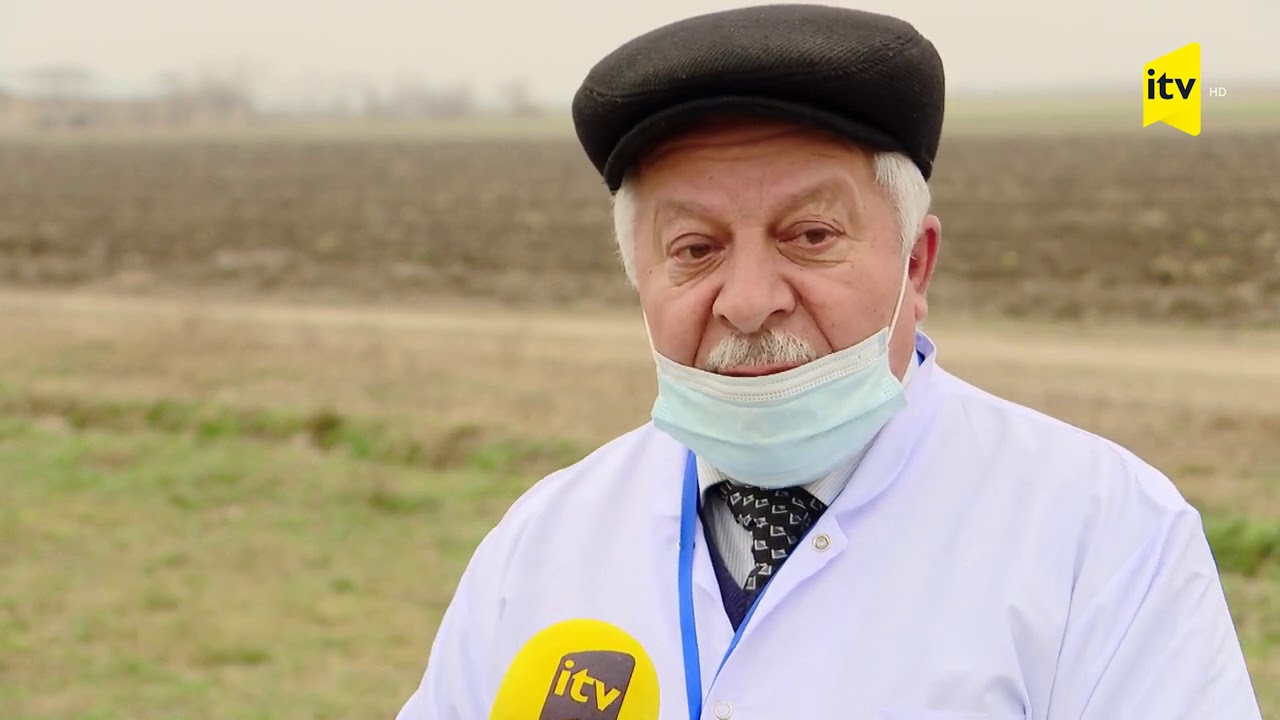 Torpağın ilboyu bitki yetişdirə bilməsi üçün ona necə qulluq etmək lazımdır?