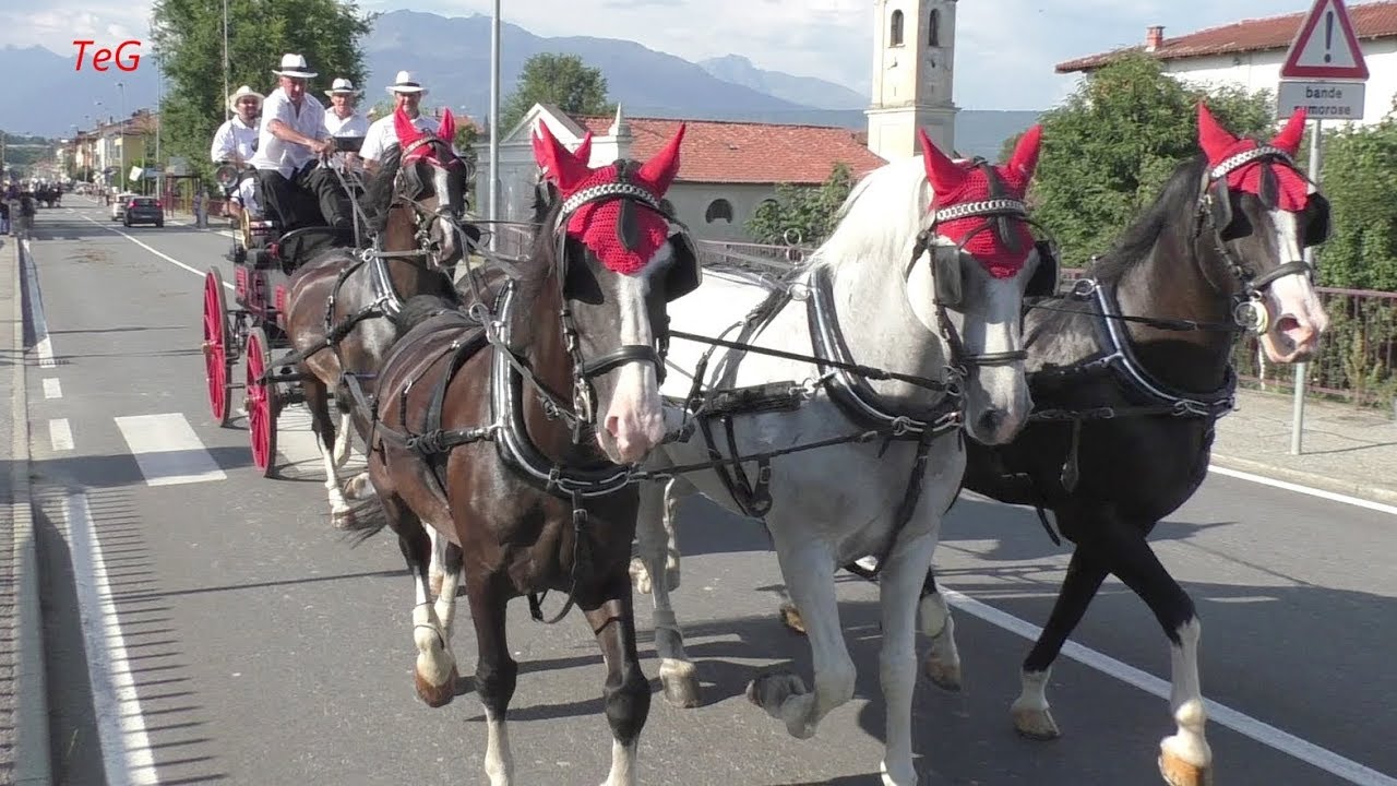 La sfilata delle carrozze con cavalli - San Bernardo 2018