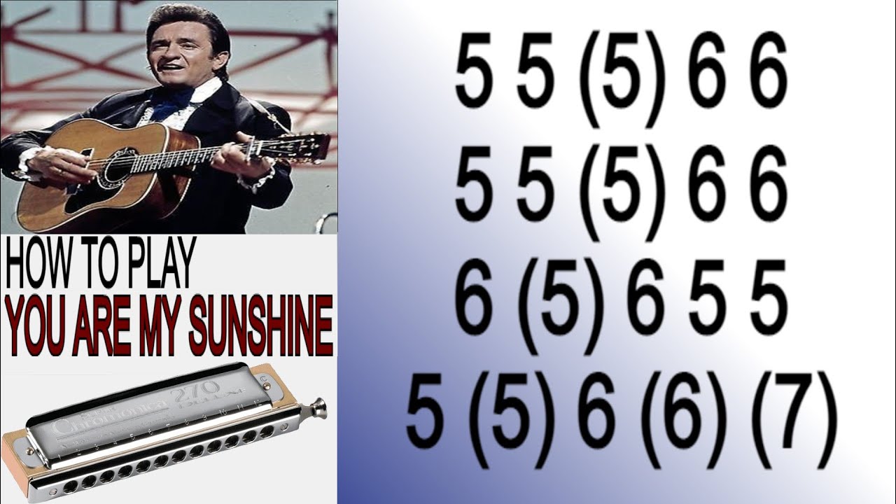 YOU ARE MY SUNSHINE HARMONICA, ARMÓNICA CROMÁTICA, GAITA DE BOCA, MUNDHARMONIKA, HARP CHROMATIC