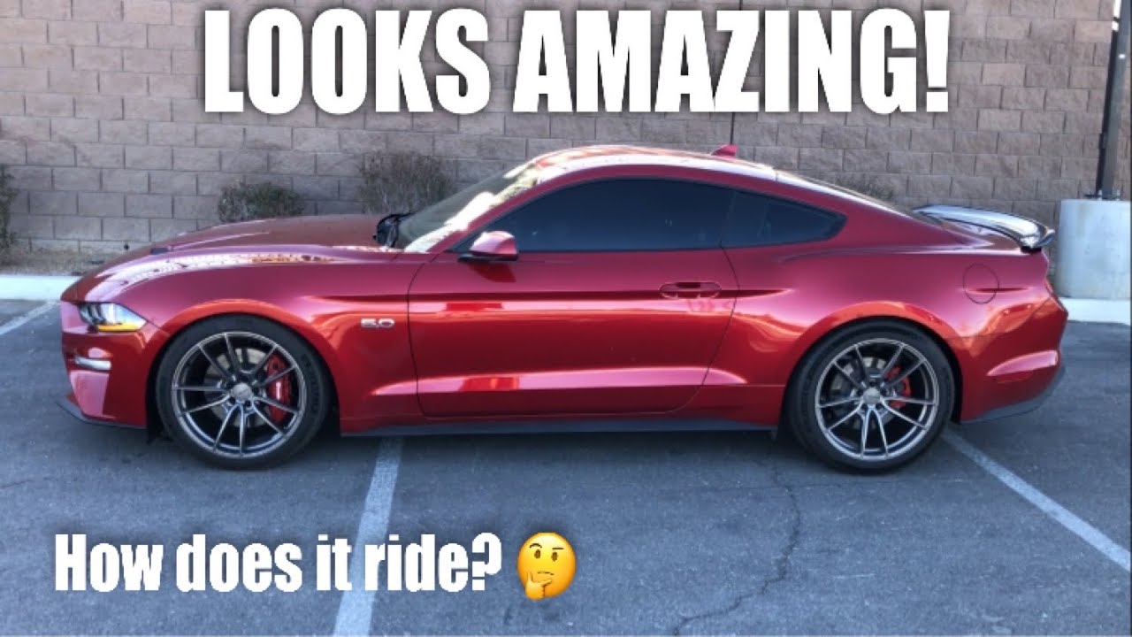 2020 Mustang GT SR Performance Lowering Springs Review!