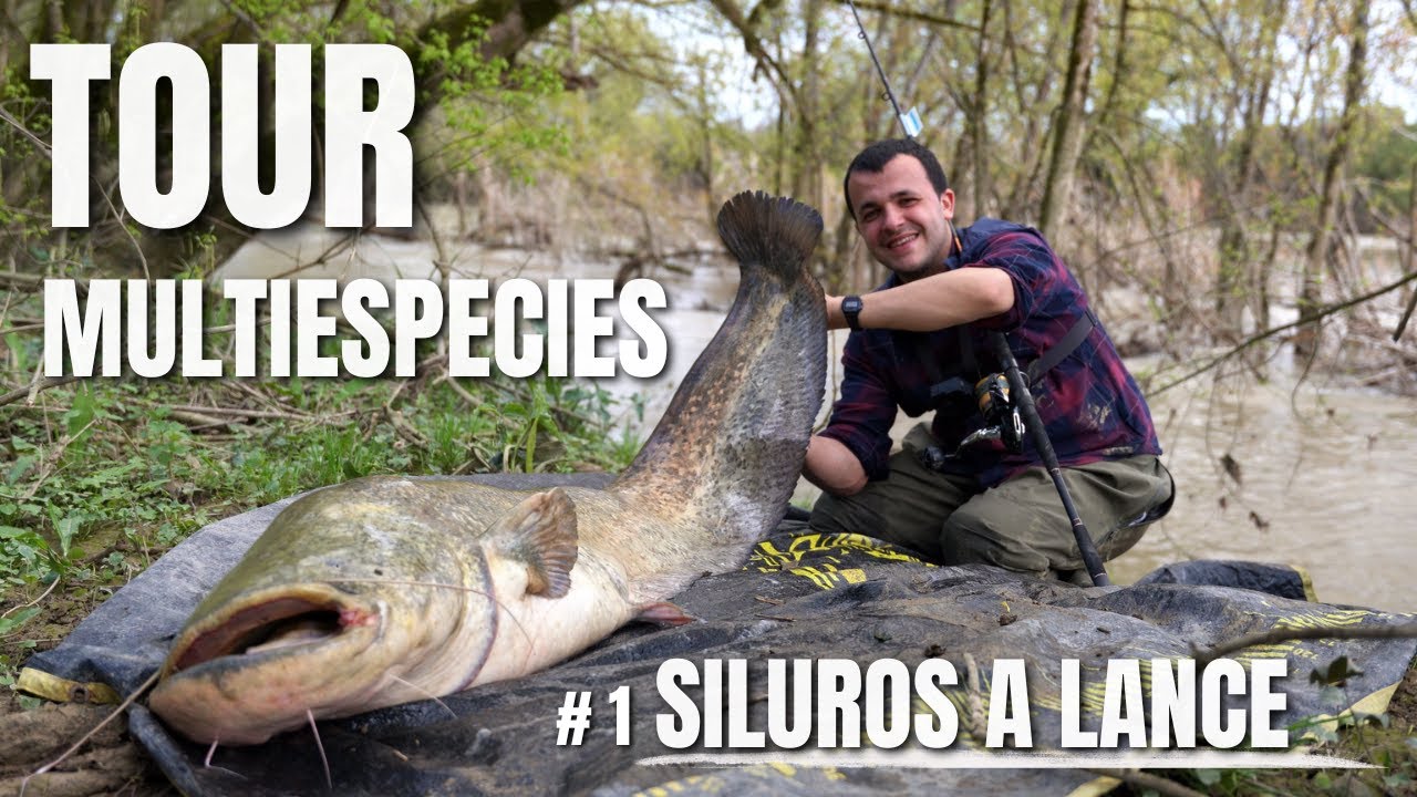 SILURO de 2 METROS casi ME TIRA AL RIO!! TOUR de PESCA MULTIESPECIES Nº4 EP.1