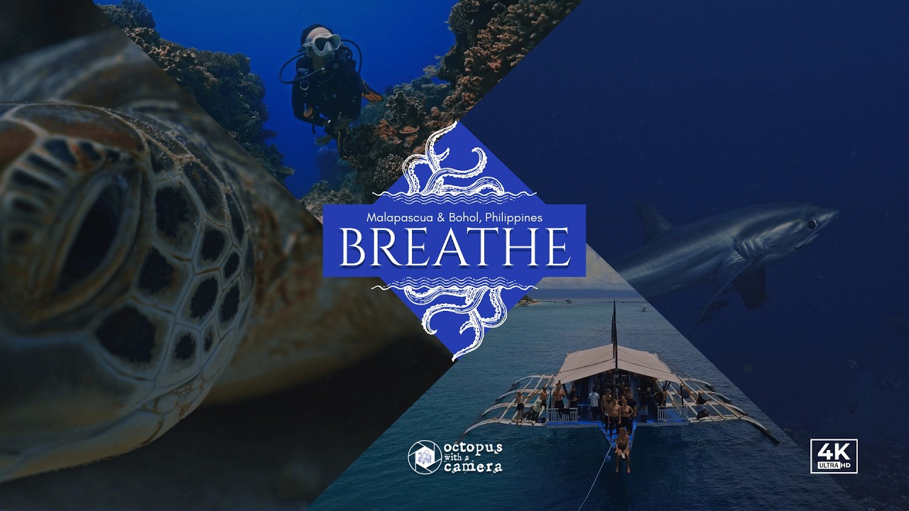 Breathe - An ode to the underwater world - 4K