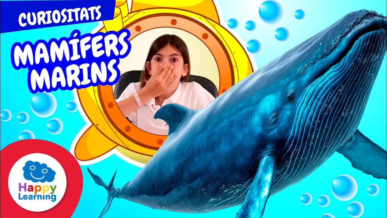 Curiositats Sorprenents dels Mamífers Marins  | Vídeos educatius per a nens | Happy Learning