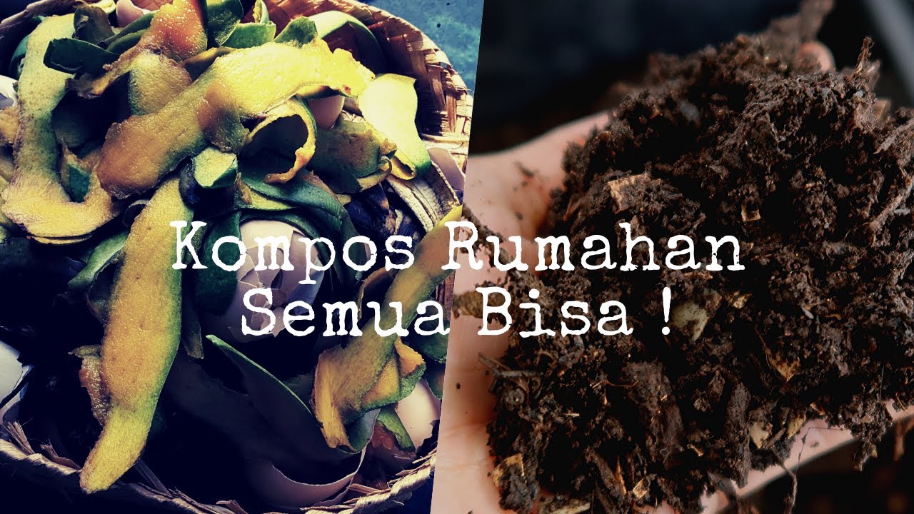 Kompos Rumahan ala momi