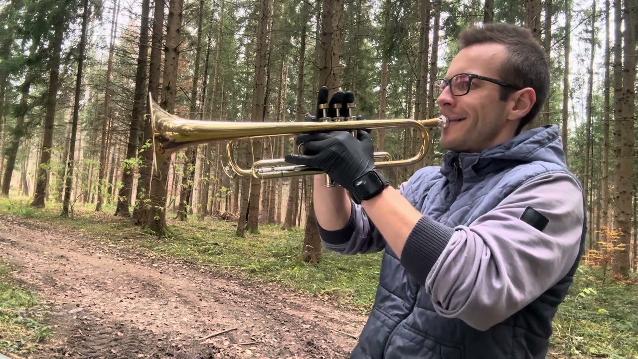 It's beginning to look a lot like Christmas on Flügelhorn/Trumpet by Matthias Griesbeck