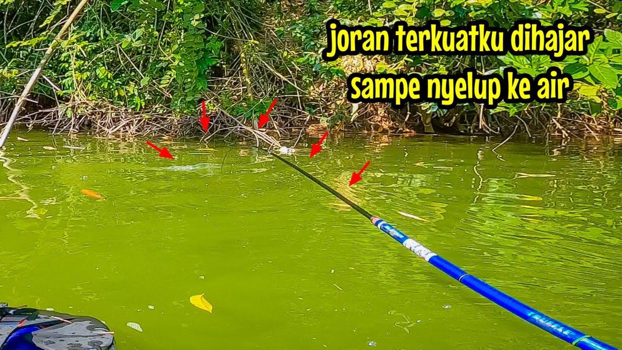 MANCING IKAN NILA BABON JORAN TERKUAT SAMPAI NYELUP AIR || mancing ikan nila di waduk lahor