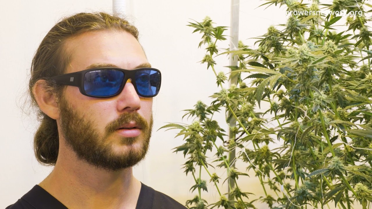 CannaCribs visits Mitten Canna Co