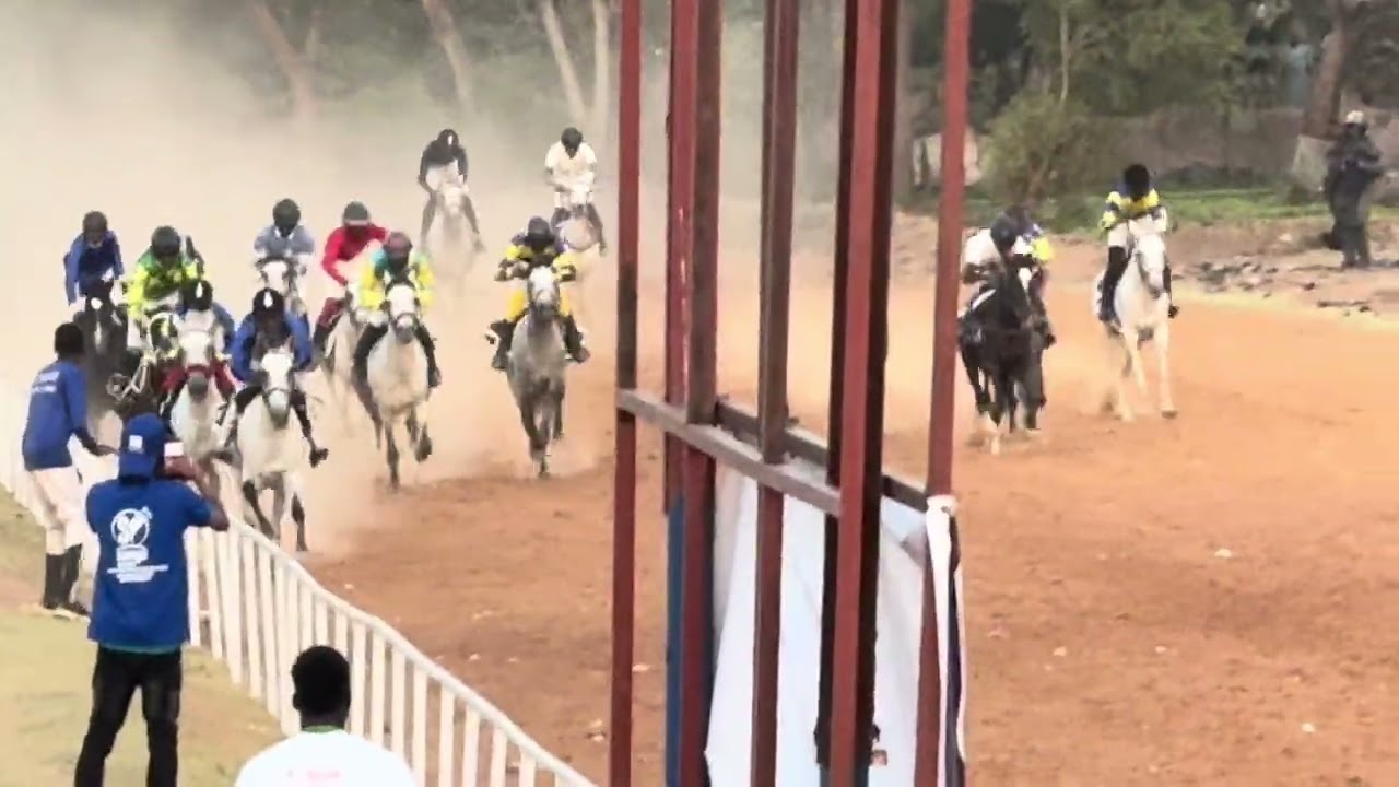 15/2/2026 GRAND PRIX SANYA INDUSTRIE 1ère EDITION 2025-2026 16ème Journée Cracks 1er Ferran 🐴