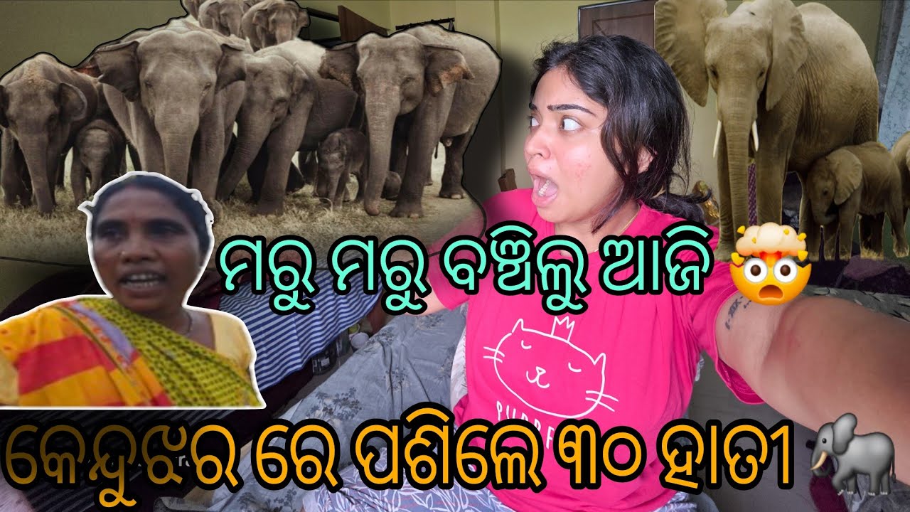 KEONJHAR ରେ ପଶିଲେ ୩୦ ହାତୀ🤯 ଏକ ସହ 🐘||ମରୁ ମରୁ ବଞ୍ଚିଲୁ କଣ ଯେ ହେଇଥାନ୍ତା 😲||#keonjhar #odisha #vlog 