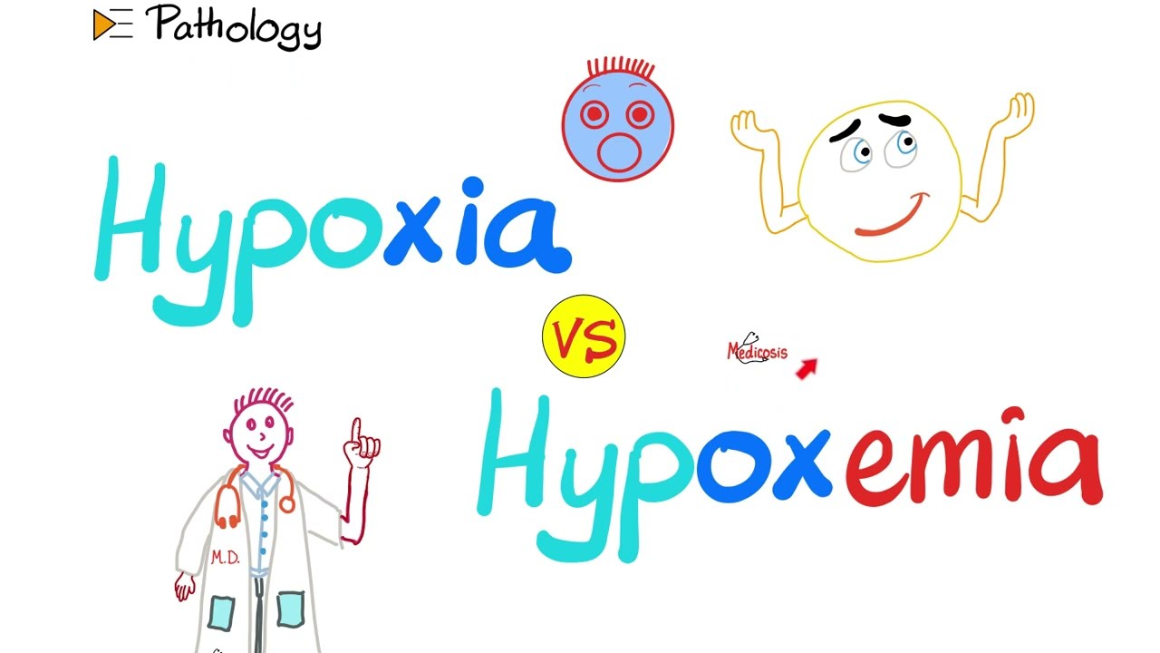 Hypoxia vs. Hypoxemia - Pathophysiology - Pathology Series