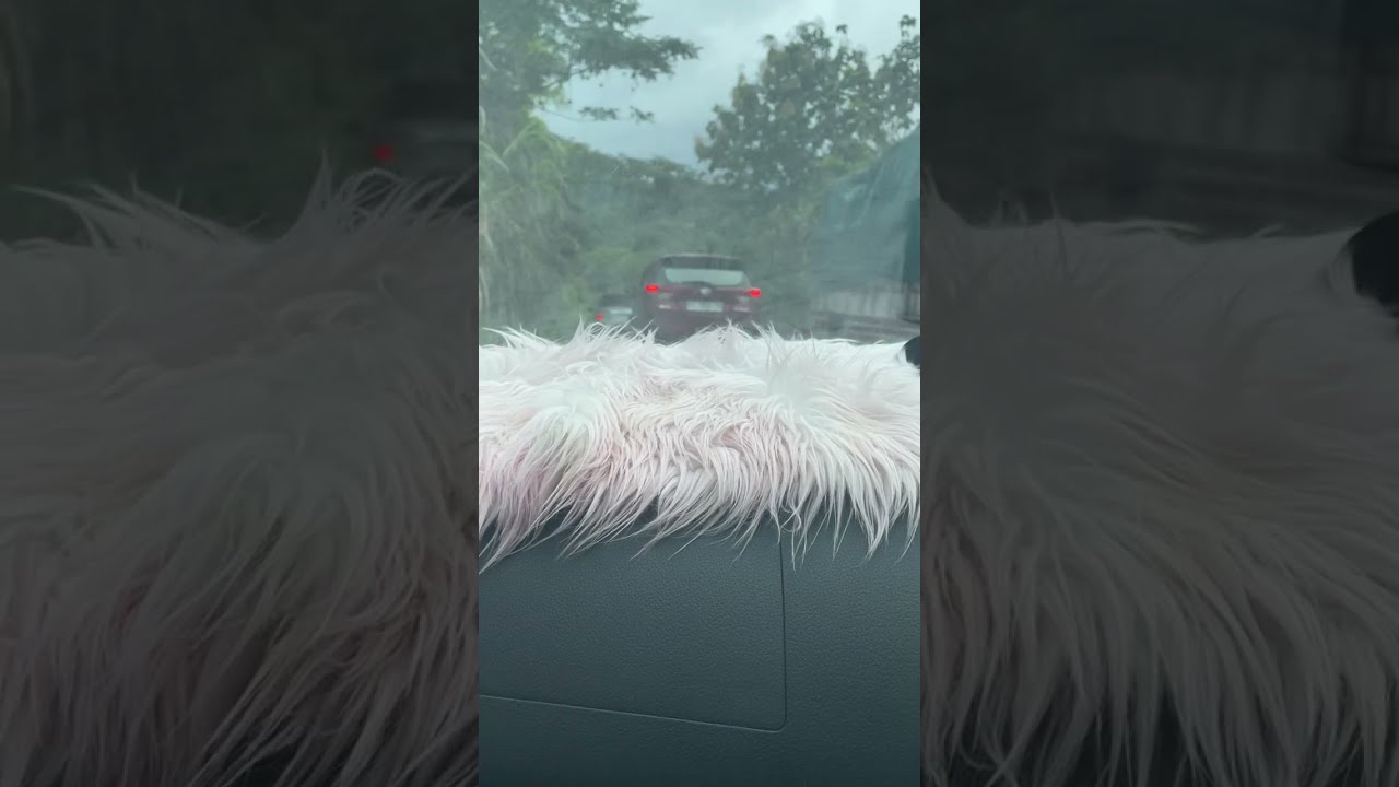 Roadtrip Kaltim - Kalsel