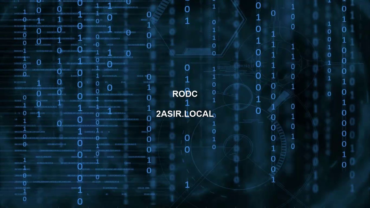 Rodc Raiz