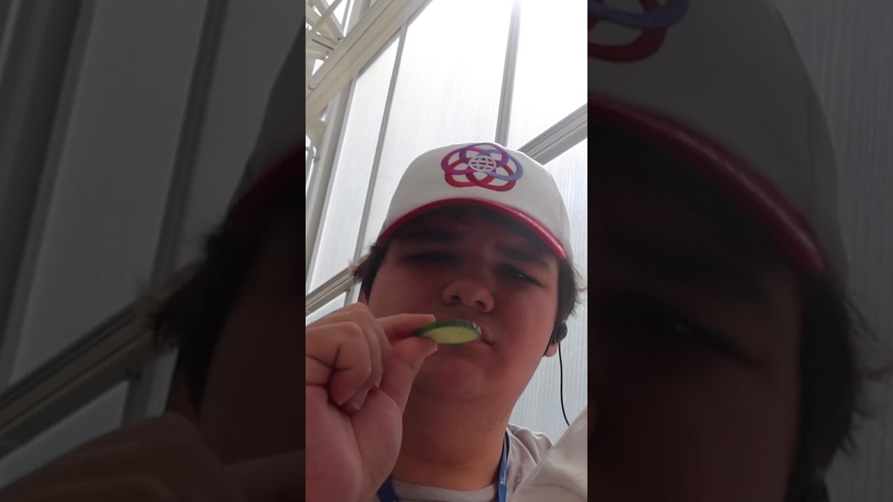 Eating a Cucumber from Living with the Land #cucumber #livingwiththeland #shorts