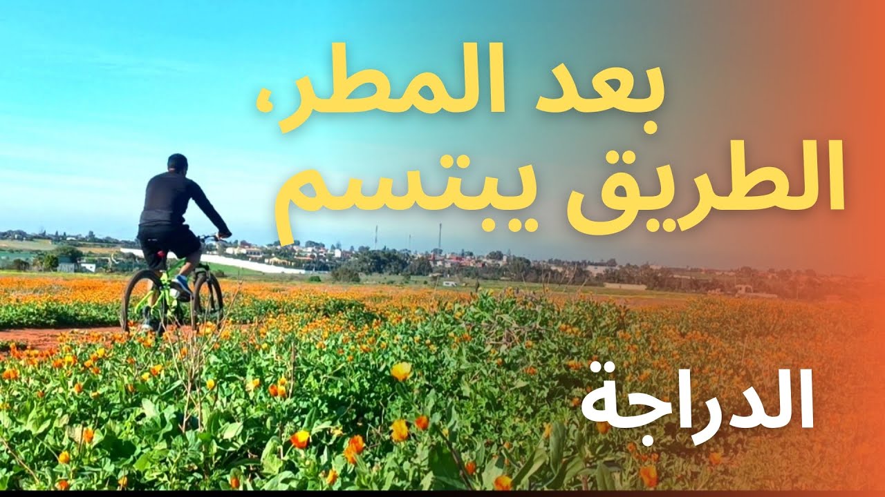 الطريق يبتسم بعد المطر