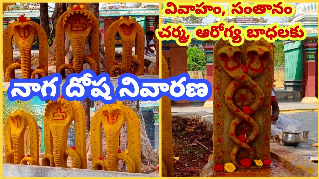 Subrahmanya Swamy Pooja | సుబ్రమణ్య స్వామి పూజ | Nagula Pooja Vidhanam | నాగ దోష పరిహార పూజ విధానం |