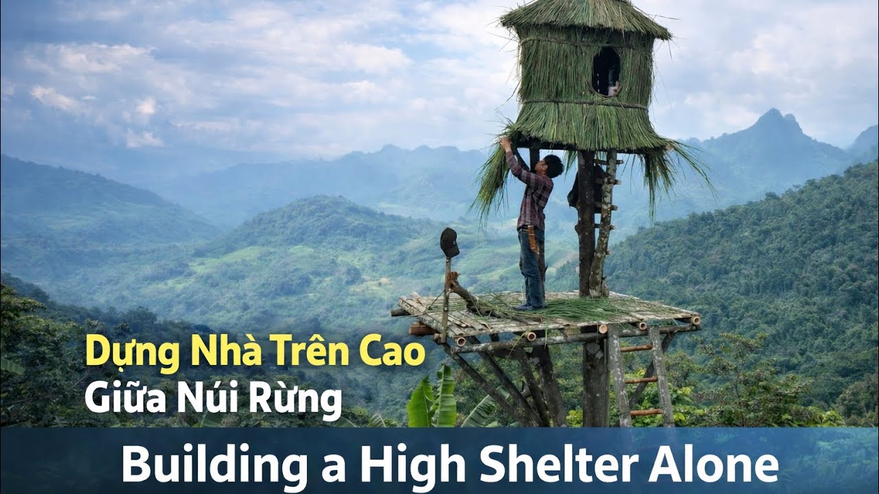 Dựng Nhà Trên Cao Giữa Núi Rừng | Building a High Shelter Alone