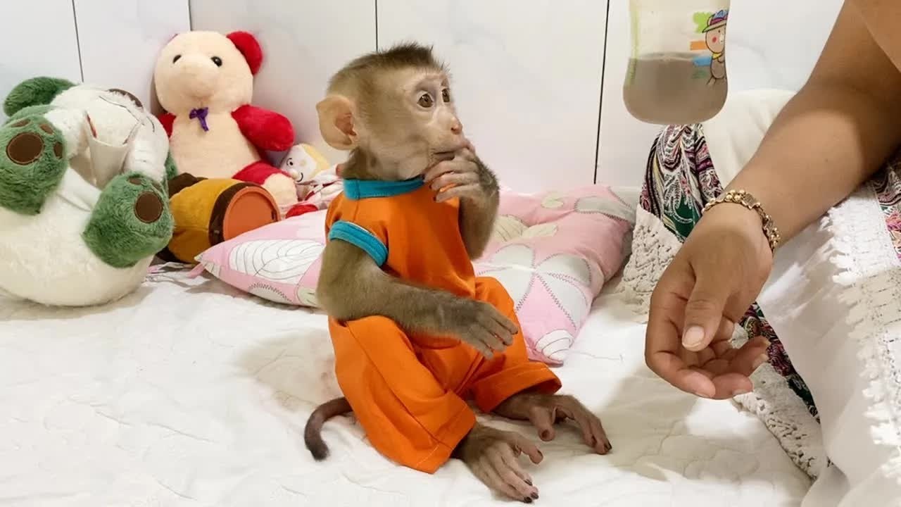 So Calm DAM Sit Stare Mom Preparing Milk Powder For Him