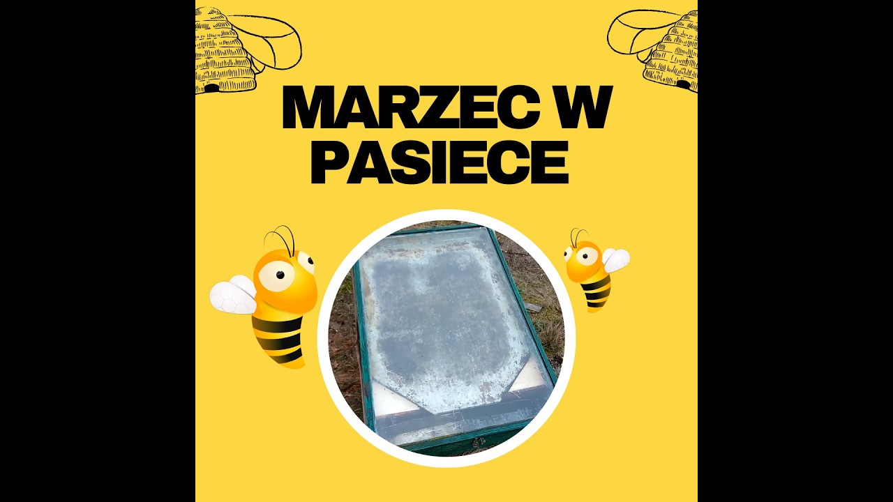 Marzec w pasiece &ndash; czy warto używać topiarki słonecznej?
