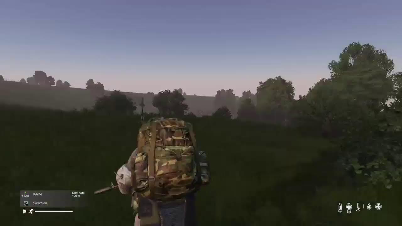 Dayz