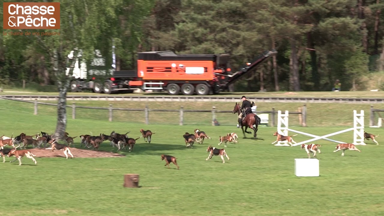 Fontainebleau 2017 - Cross par équipage