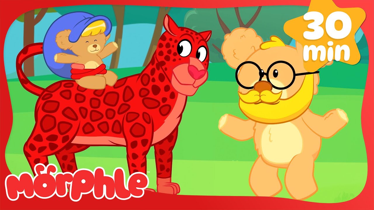 Cuddly Teddy Bear Fun 🧸 | 🔴 Morphle VS Orphle 🟢 | Fun Kids Cartoon