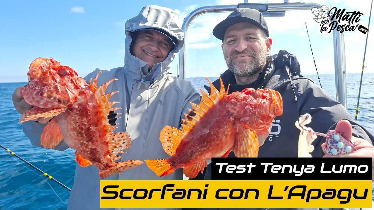Scorfani con l'Apagu - Test Esca Tenya Lumo
