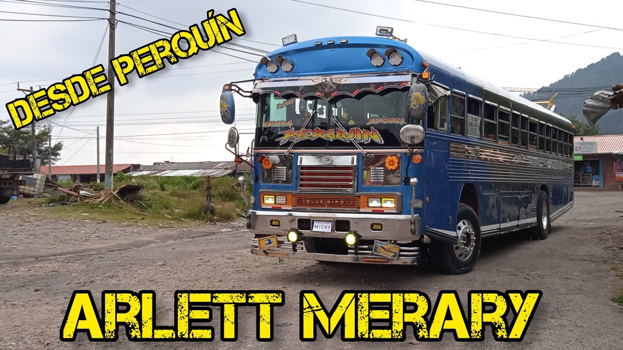 ARLETT MERARY (La Perquineña) de los mejores buses en MORAZÁN 😎