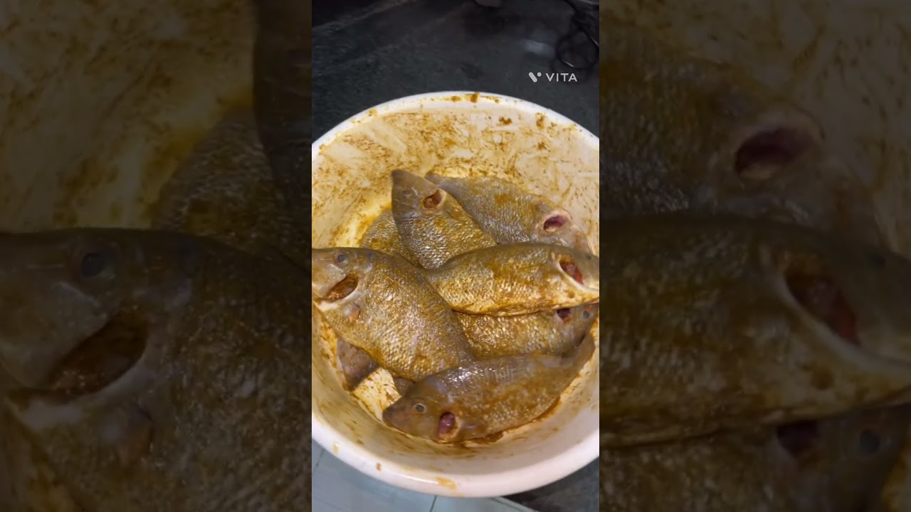 ٩ فبراير، ٢٠٢٦