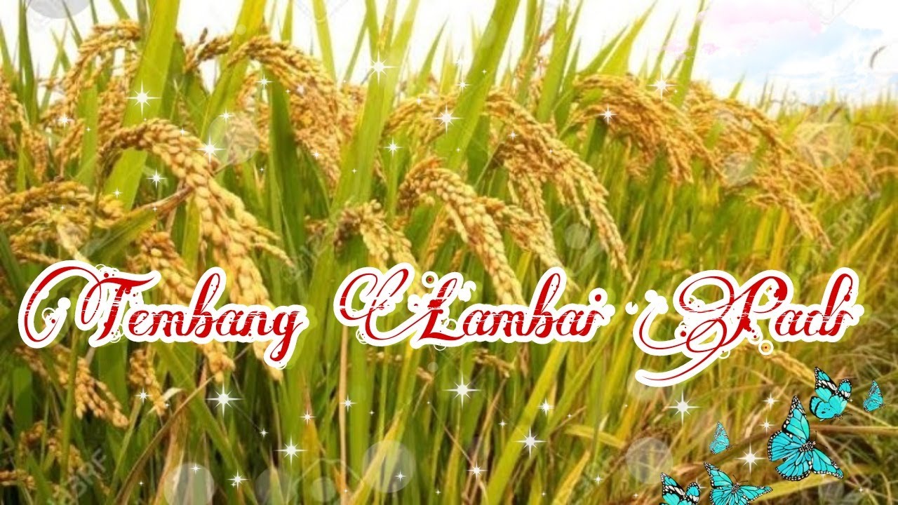Lagu Vihara Tembang Lambai Padi