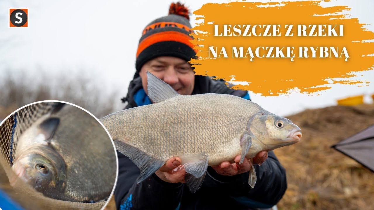 DUŻE LESZCZE z RZEKI na MĄCZKĘ RYBNĄ | Adam Niemiec