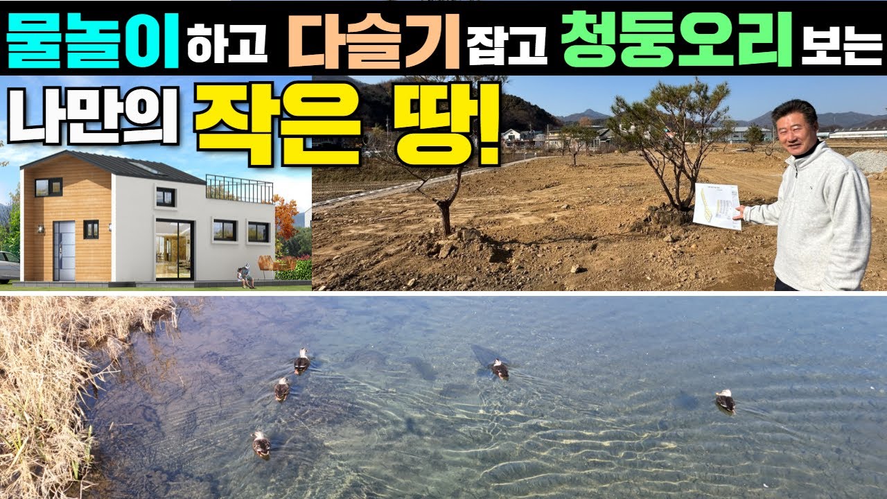 인프라 입지 끝내주는 양평 소형 땅 분양중! 힐링 청정지역!! #캠핑#소형주택#별장#세컨하우스#양평토지#세컨홈#토지분양#땅분양#주말주택#주말별장#세컨하우스#양평#파크골프장