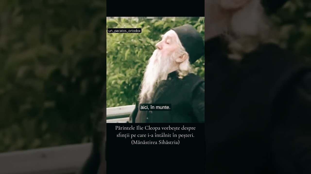 Sf&acirc;ntului Cuvios Cleopa de la Sihăstria - despre sfinți