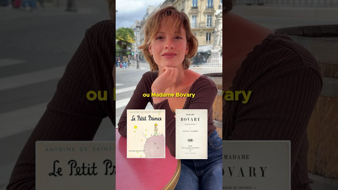 Quel est ton roman pr&eacute;f&eacute;r&eacute; ? 📖#roman #litterature #litteratureclassique #thisorthat #brefmedia