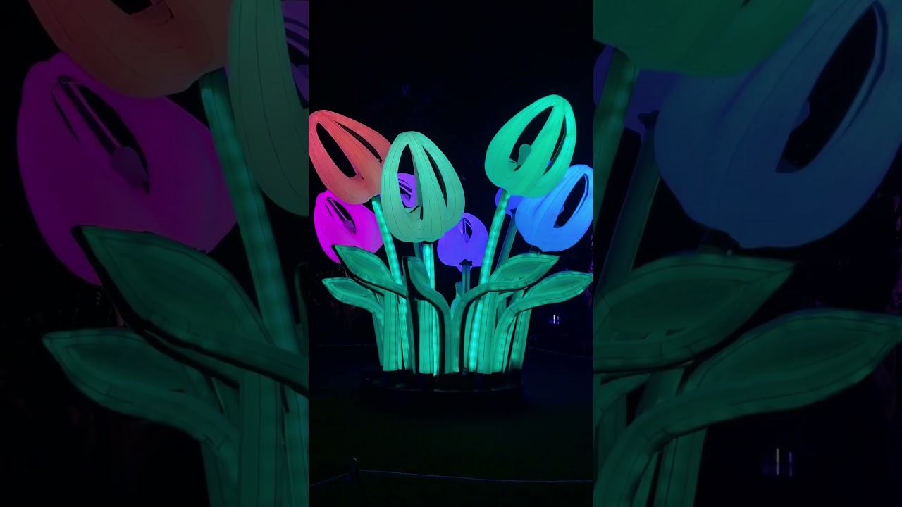 VIVID Sydney 2024 