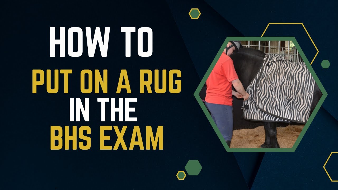 How To Put On a Rug in the BHS Exam.