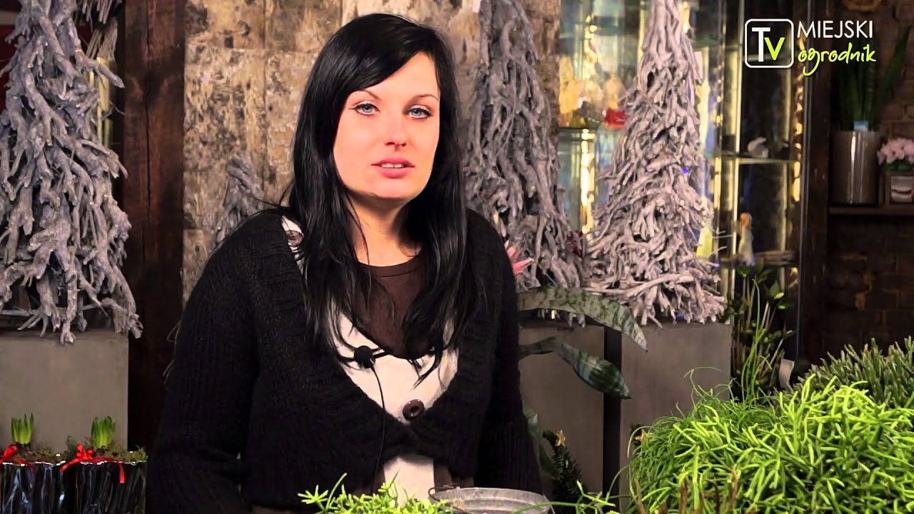 Kocham tę roślinę - Rypsalis - prosta roślina do domu - S02 E11