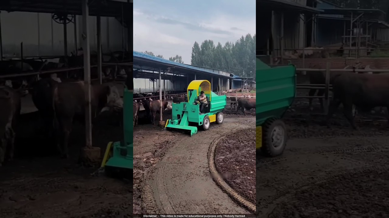 Automated Cow Farm in China Makes MILLIONS Growing Mushrooms! 🍄💰