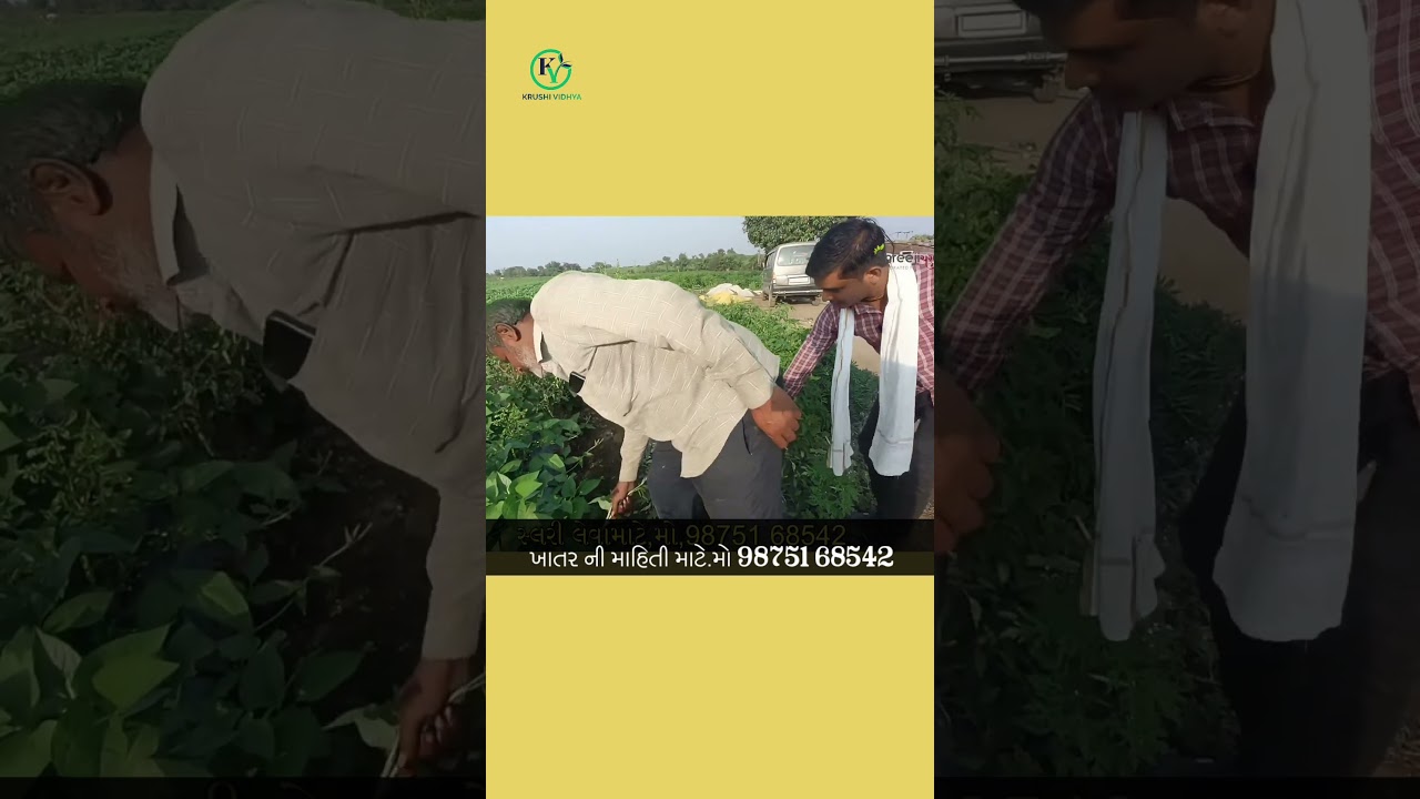Jevik khad | organic fertilizer | organic salrry | Jivamrit khad |