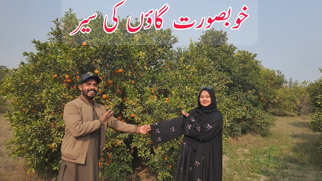 Village ki kuhbsurat sair|Village family Traditional | Wedding|Couple Vlogs|