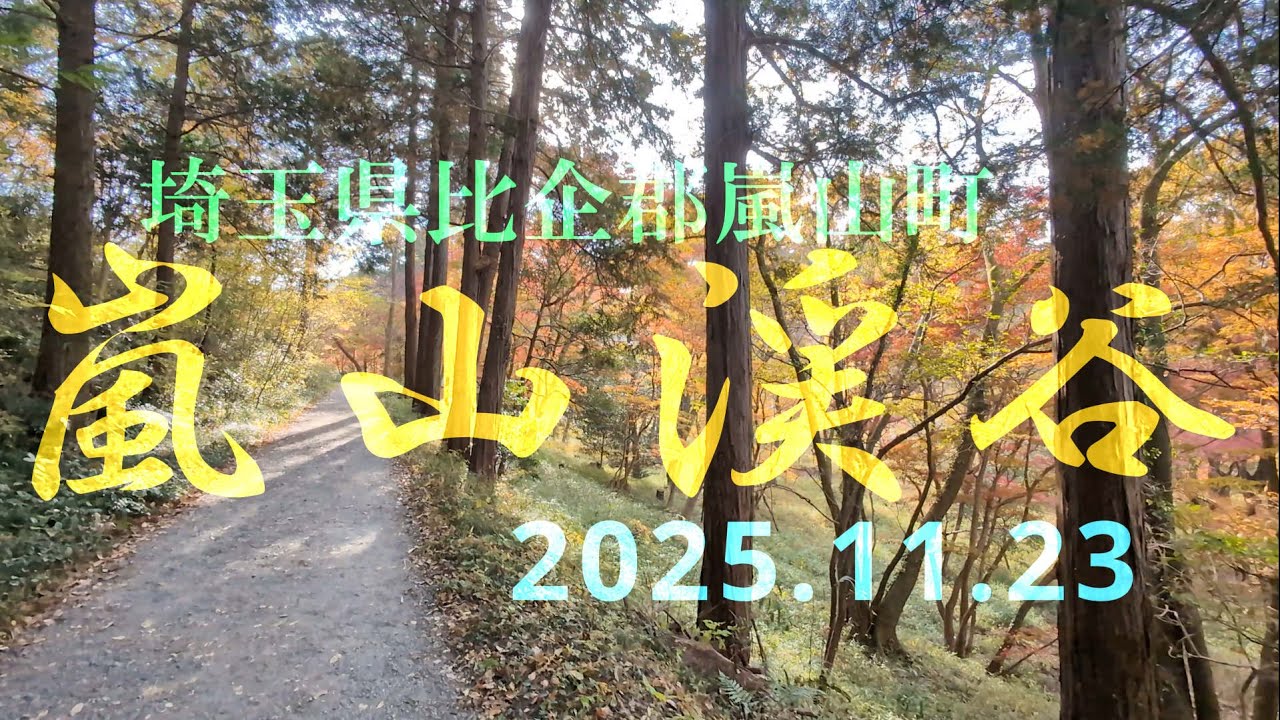 【VLOG】紅葉《嵐山渓谷》埼玉県比企郡嵐山町 2025.11.23