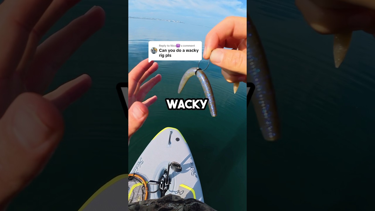 Wacky Rig SENKO в соленой воде! #рыбалка #рыба #видеорыбалки