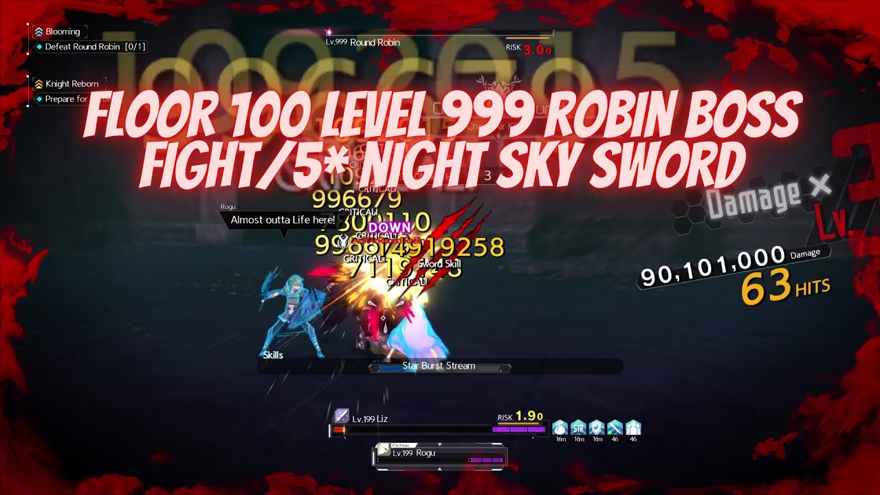 Sword Art Online Alicization Lycoris Floor 100 Level 999 Robin Boss Fight & Sp Night Sky Sword