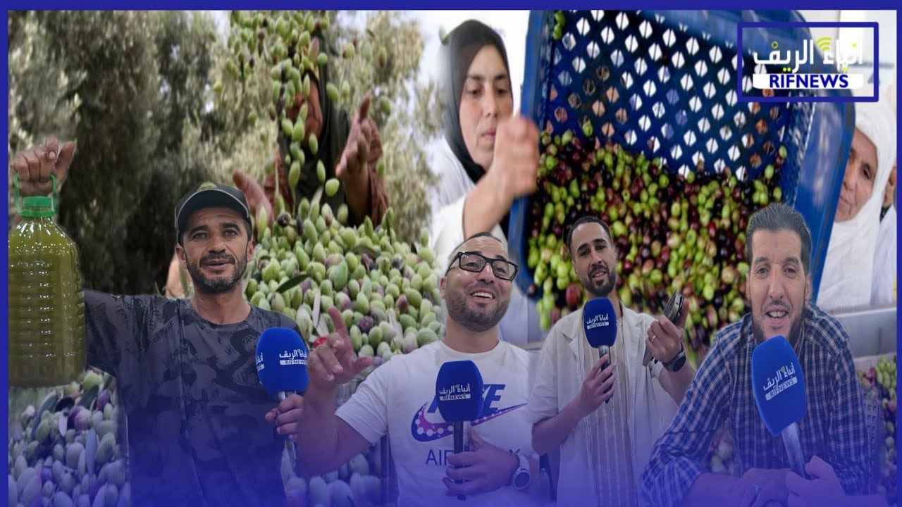 أجواء رائعة من داخل مزرعة عبد النبي مع انطلاق موسم زيت الزيتون وإقبال كبير من الجالية