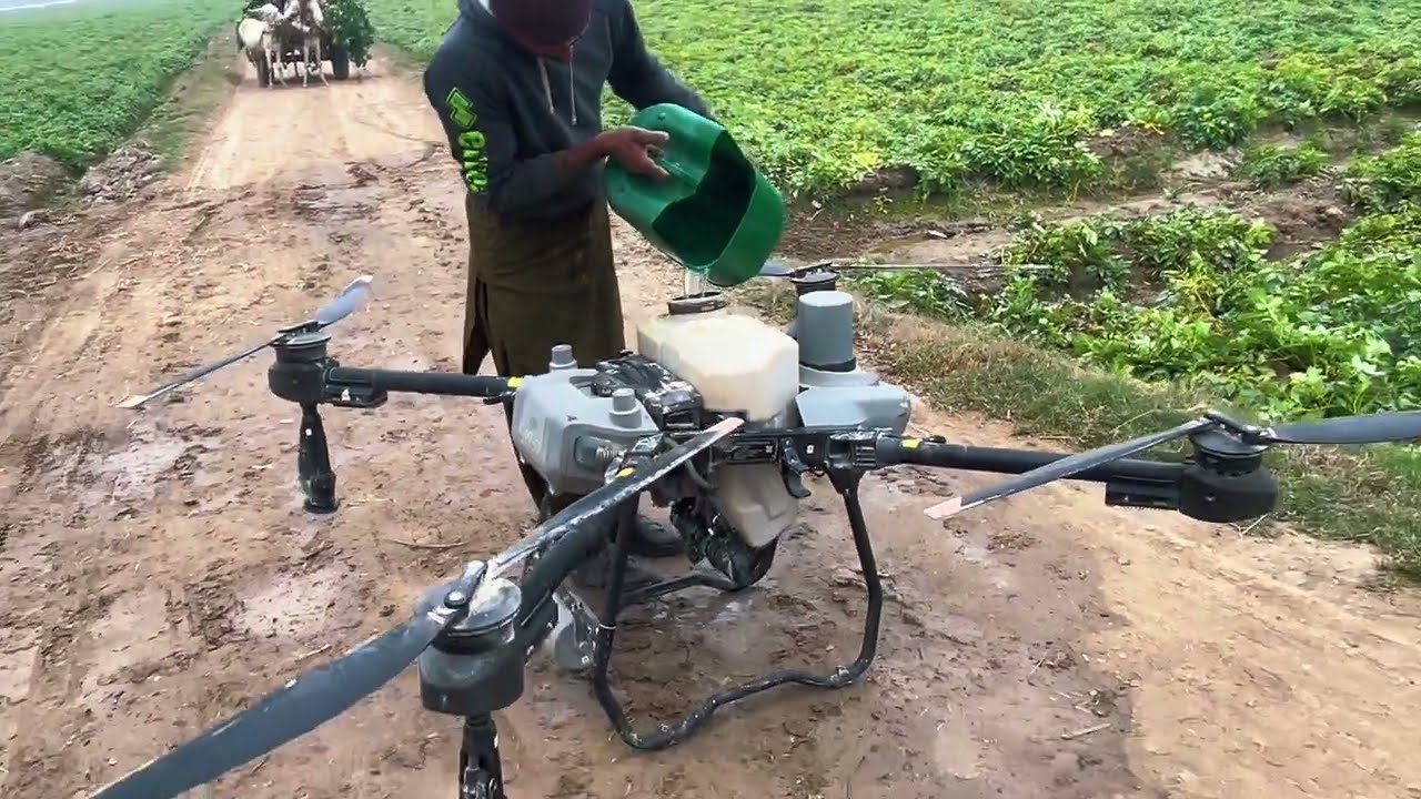 Drone Spraying Potatoes | Smart Farming Technology in Pakistan