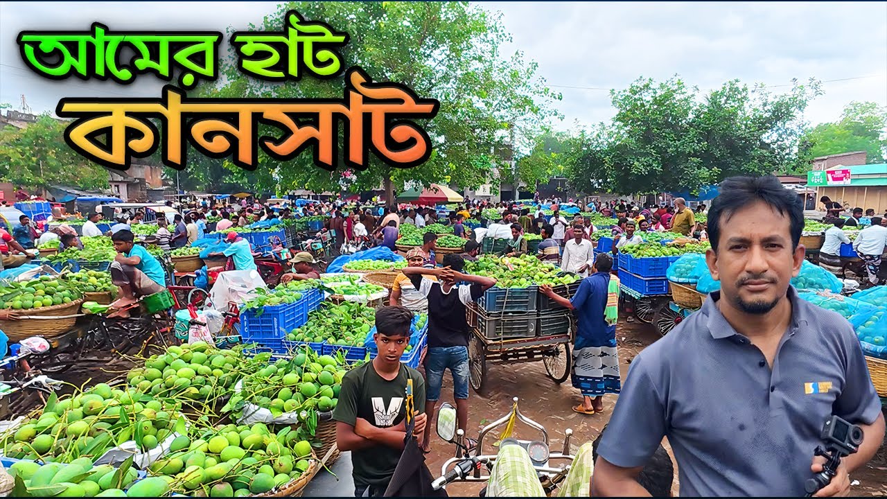 দেশের সবচেয়ে বড় আমের বাজার কানসাট | Kansat Mango Market | Chapainawabganj | Kansat |