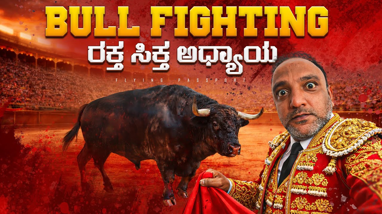 ನಿಜವಾದ ಗೂಳಿಗಳ ಮನುಷ್ಯನ ಕಾಳಗ‼️🤯 | Real Bull Fighting | Flying Passport