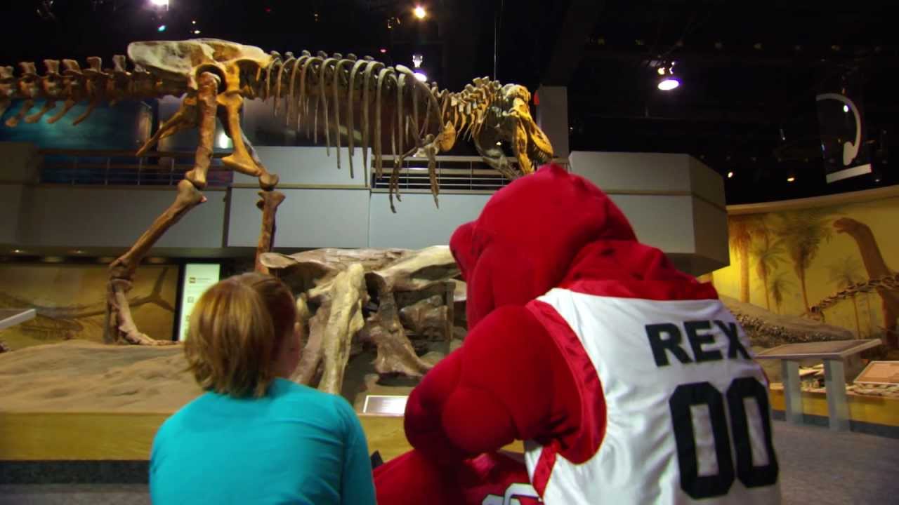 2013 Dinos Brand Launch: Rex finds his roots