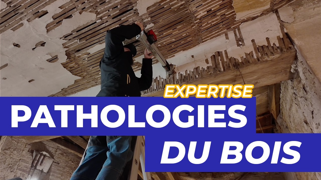 1 EXPERT et 2 CHARPENTIERS face à un plafond qui S'EFFONDRE ! - Expertise charpente