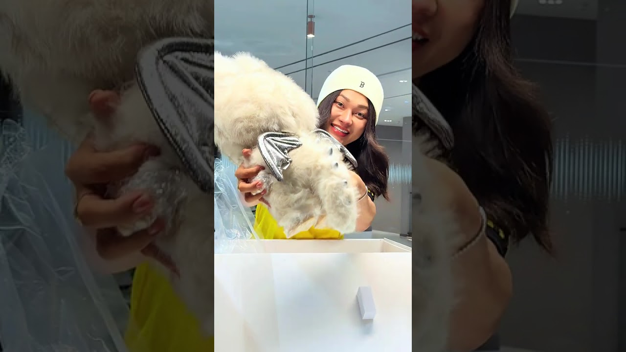 ၁၅သိန်းဝန်းကျင် ပေးရတဲ့အရုပ်😍🥰