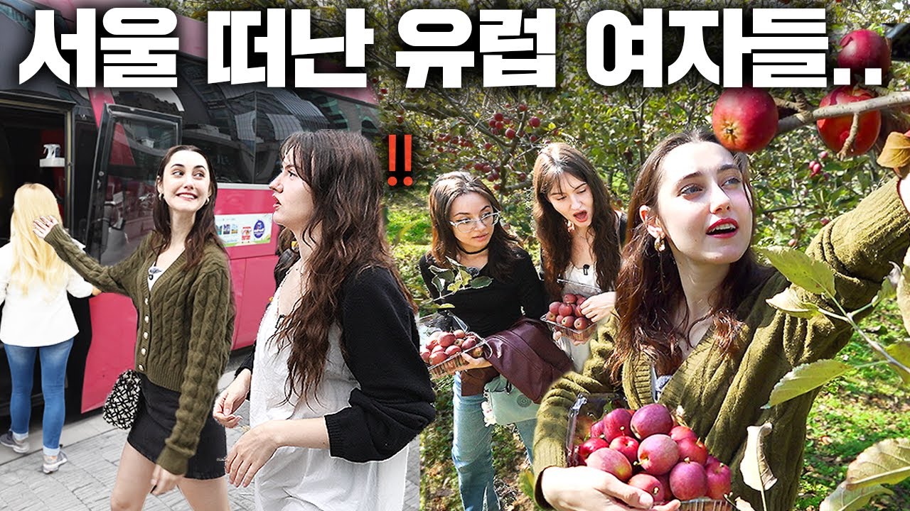 서울 떠난 외국인 여자들이 두 손 가볍게 왔다가 무겁게 돌아간 사연은..(경기도 EG투어 버스 탑승기)